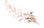 flower-3.png flower-3.png